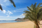 Super Lastminute nach Teneriffa