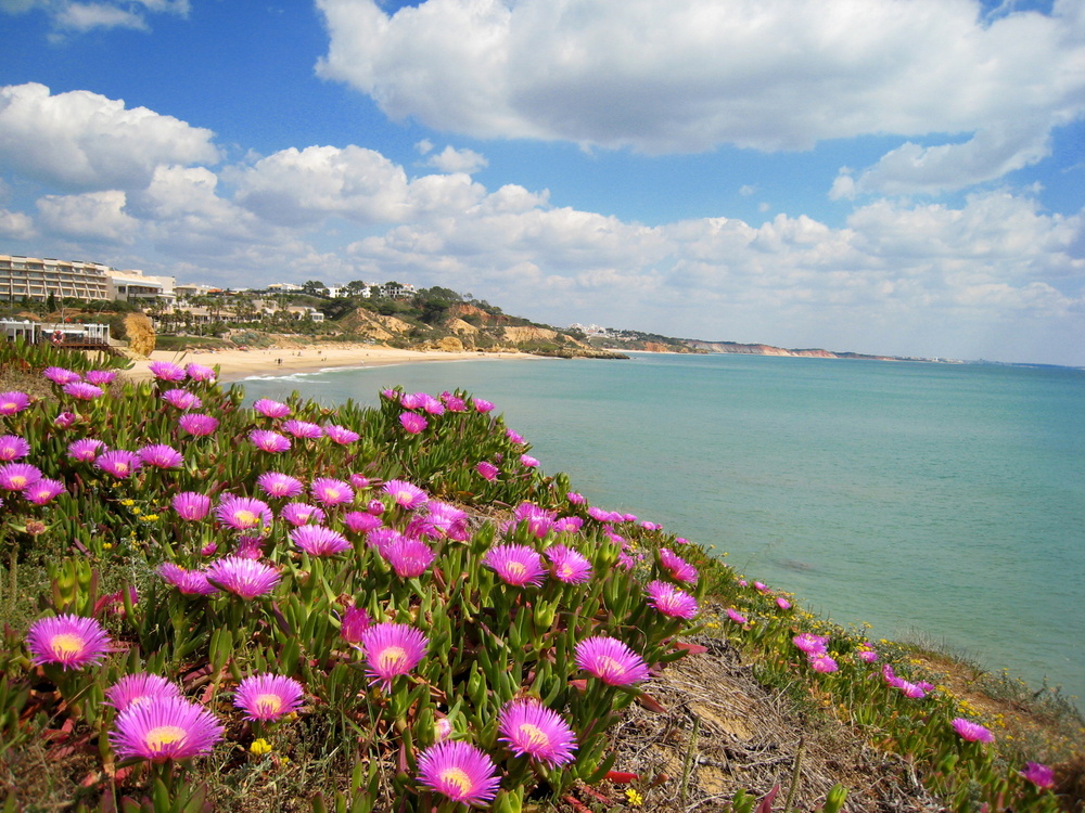 Portugal