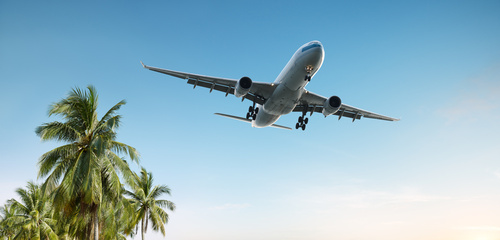 Beim Urlaub buchen sparen - durch Vergleichen - airplane baum blau fliegender flug flugzeug himmel landung palm tree reisen tropisch urlaub.