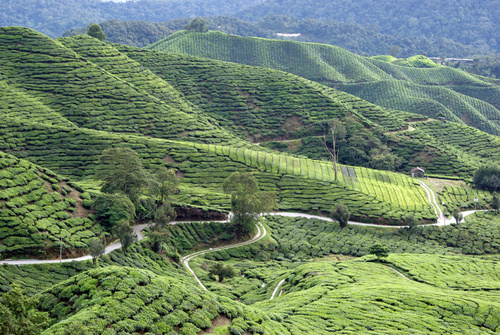 Malaysia - eine exotische Welt