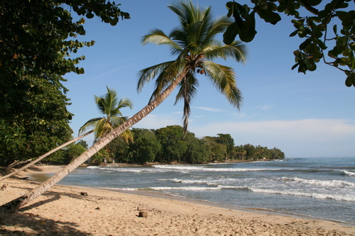 Urlaub in der Karibik - cahuita cahuita national park costa rica karibik palme palmenstrand paradies sandstrand strand.