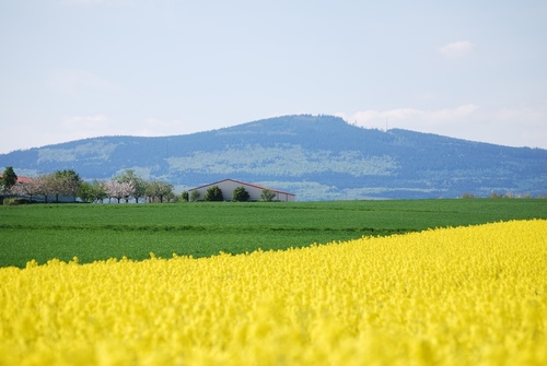 Hessen - Deutschlands gute Stube