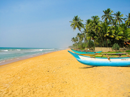Sri Lanka - die Perle Asiens