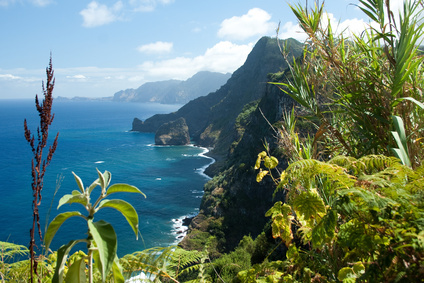 Madeira - Ganzjahresziel mit tropischem Flair