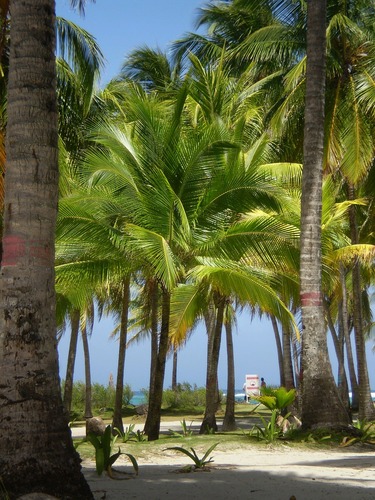 San Andres in Kolumbien