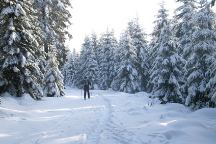Auszeit im Luxus-Skigebiet in den Rocky Mountains