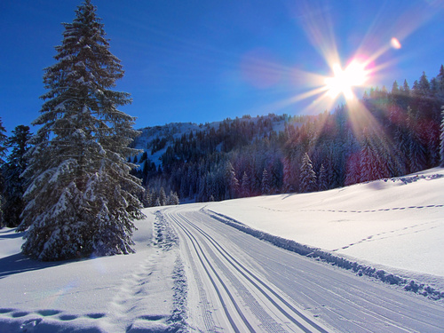 Winterwandern im Urlaub – die Allgäuer Alpen laden ein - Allgäu, Alpen, Schnee, Winter, Ski, Wandern.