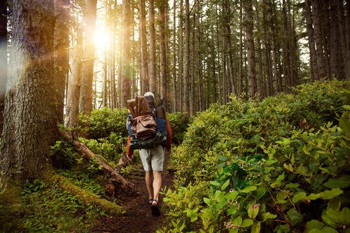 Wie Sie den perfekten Wanderurlaub planen