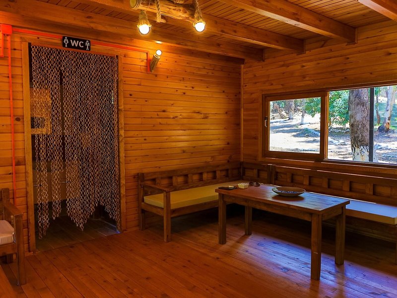 Wellness
