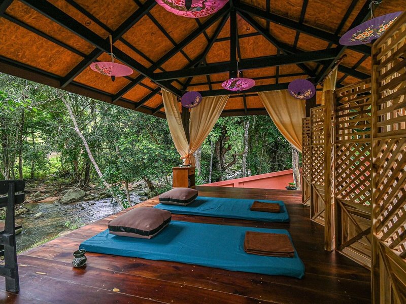 Wellness