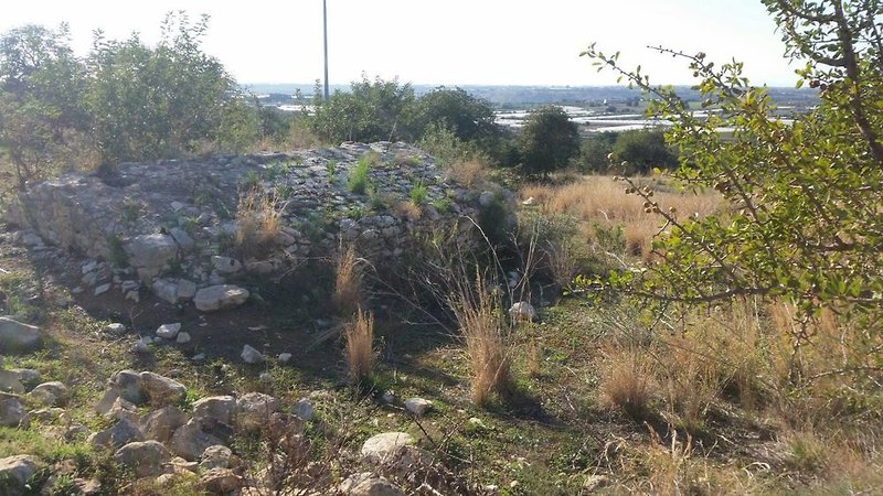 Landschaft
