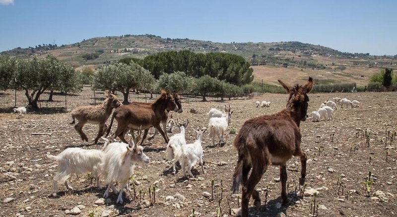 Tiere