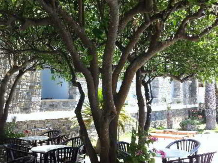Galinos in Parikia, Santorini Landschaft