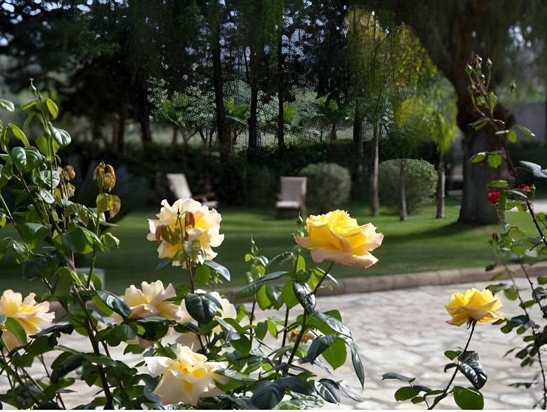 Garten