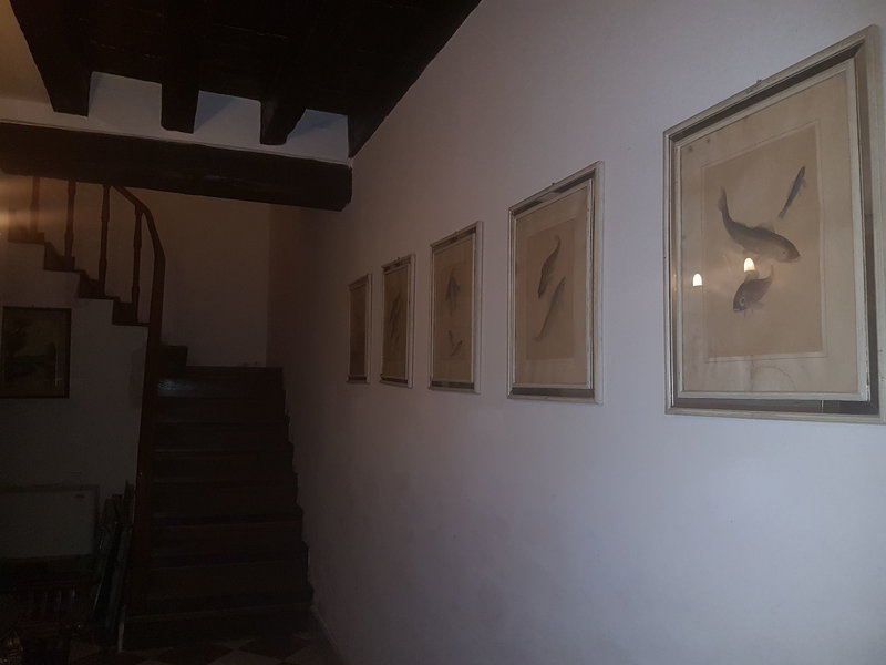 Lounge/Empfang