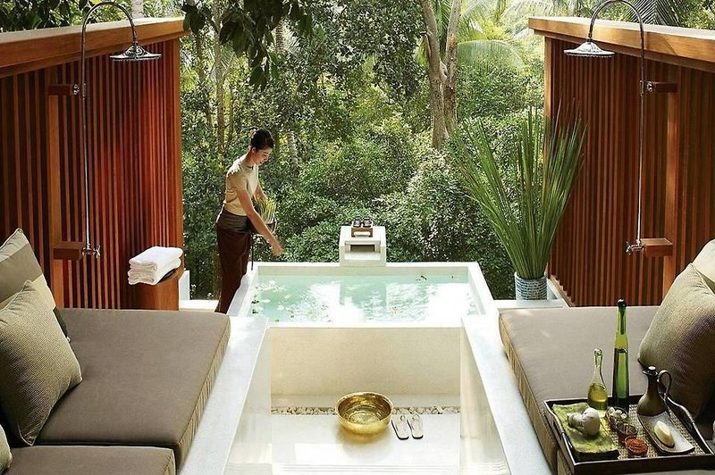 Wellness