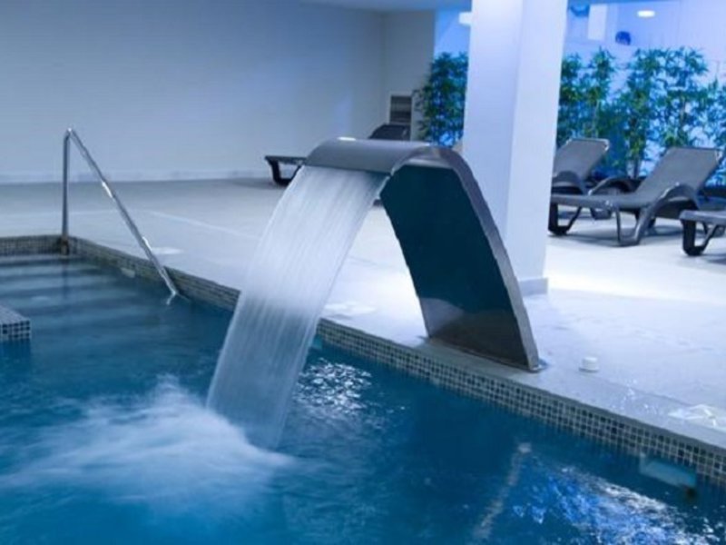 Wellness