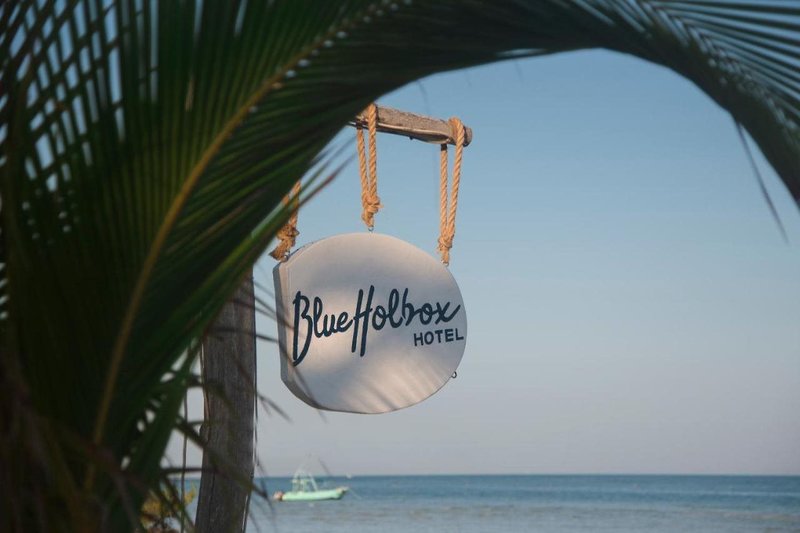 Blue Holbox Beach Front in Isla Holbox, Cancun Wellness