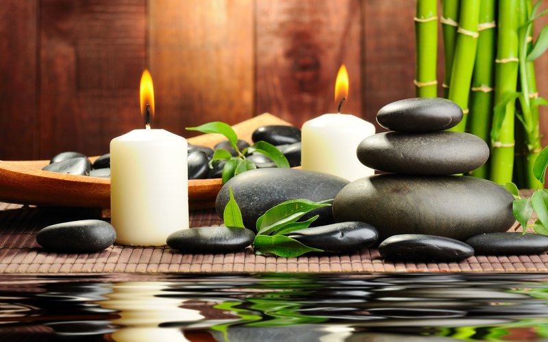 Wellness