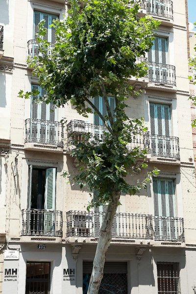 MH Apartments Sagrada Familia in Barcelona, Barcelona Außenaufnahme