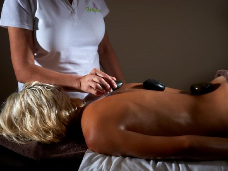 Wellness