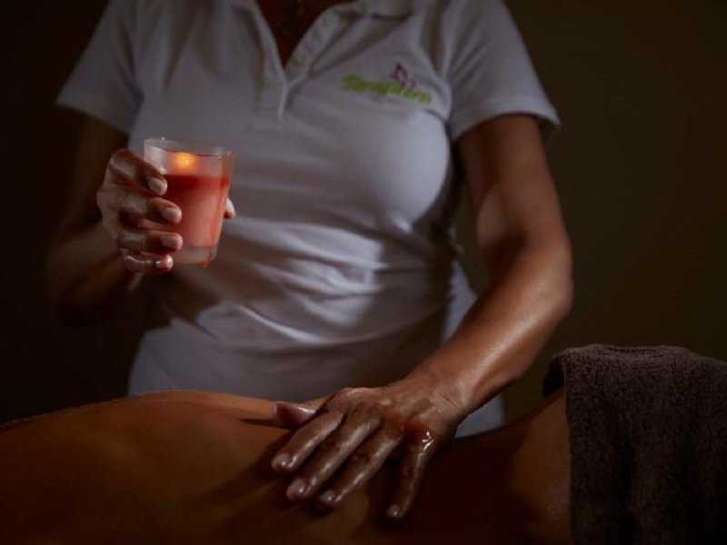 Wellness