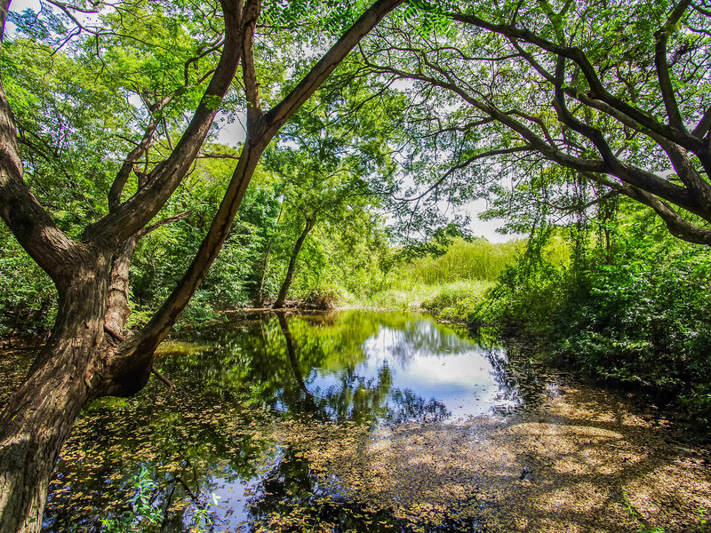 Landschaft
