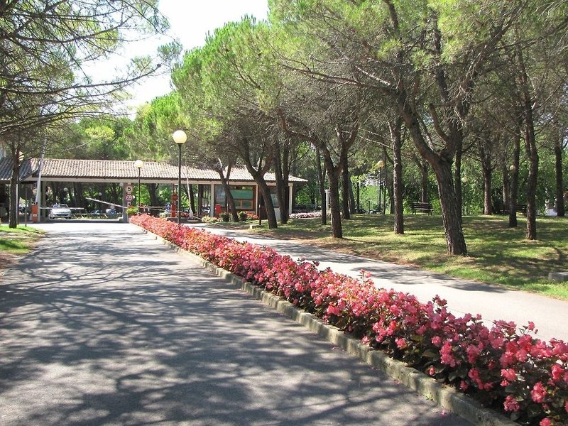 Belvedere Pineta Camping Village in Belvedere, Venedig Garten