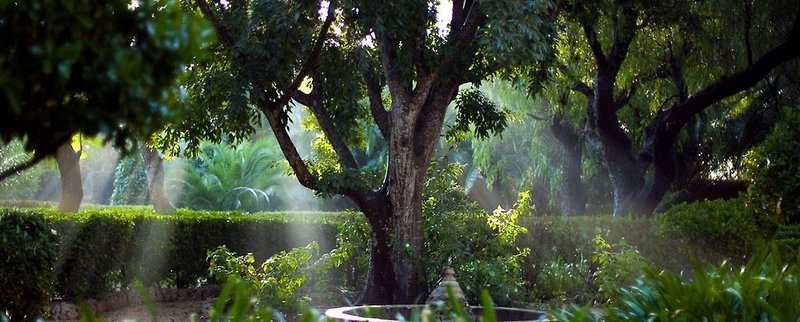 Garten