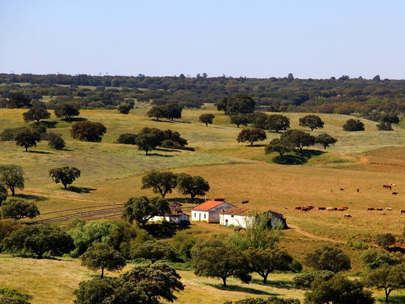 Hotel O Gato in Odivelas, Faro Außenaufnahme
