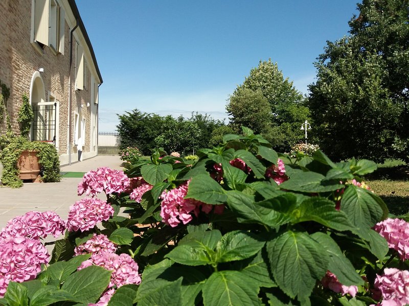 Garten