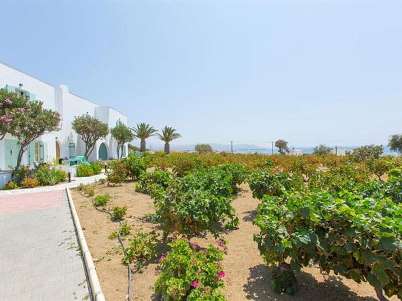 Lianos Village in Agios Prokopios, Santorini Garten