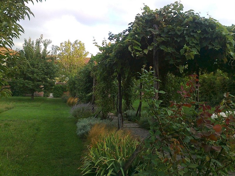 Garten