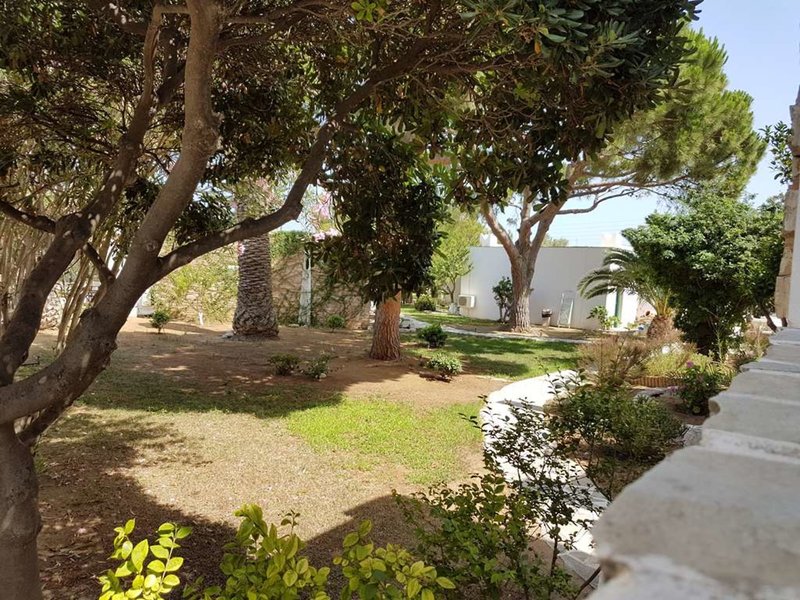 Naxos Beach Hotel in Naxos Stadt, Santorini Außenaufnahme