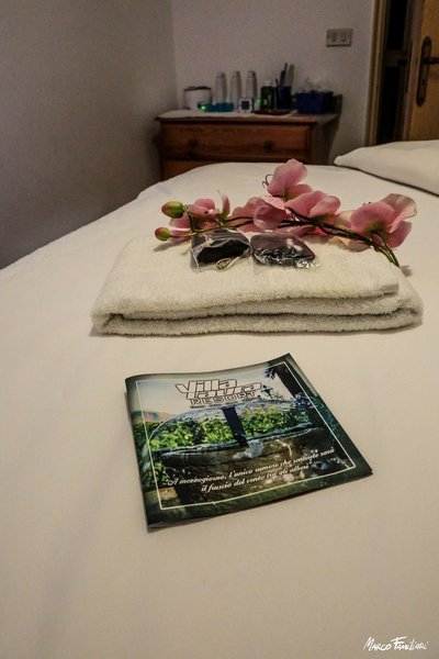 Wellness