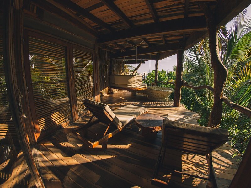 Wellness