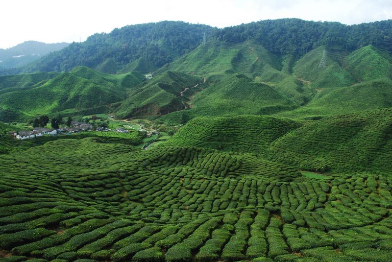 Naturerlebnis Sri Lanka in Colombo, Colombo Landschaft