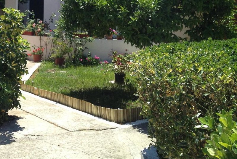 Ionian Breeze Apartments in Kavos, Korfu Garten