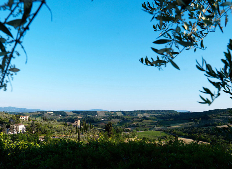 Landschaft