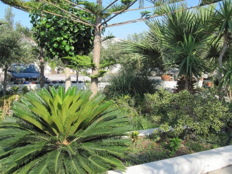 Villa Nikos in Kamari, Santorini Landschaft