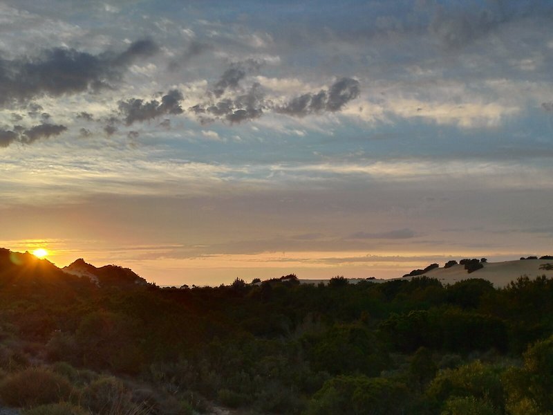 Landschaft