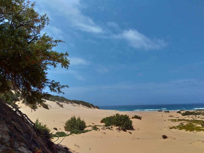 Strand