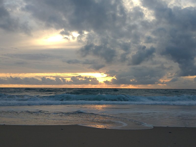 Strand
