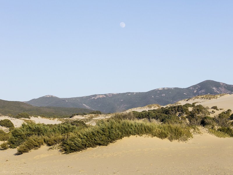 Strand