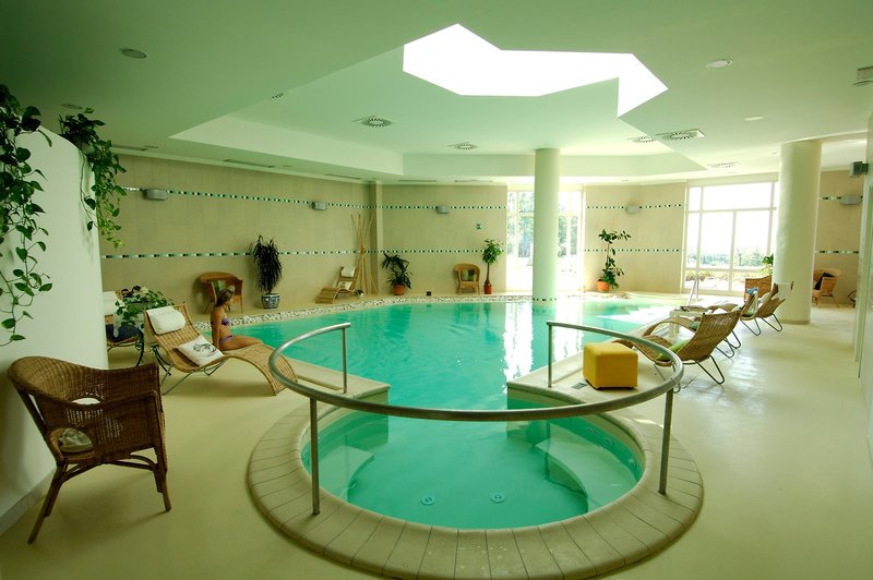 Wellness