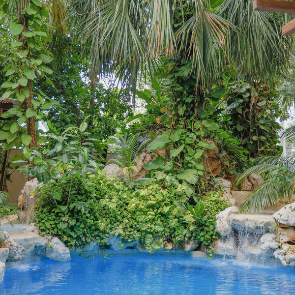 Hotel Hul-Ku in Playa del Carmen, Cancun Garten