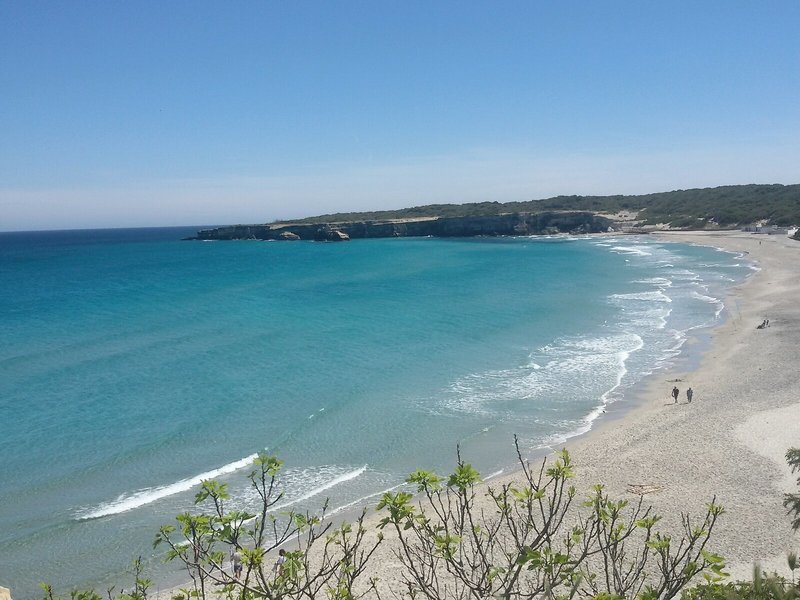 Strand