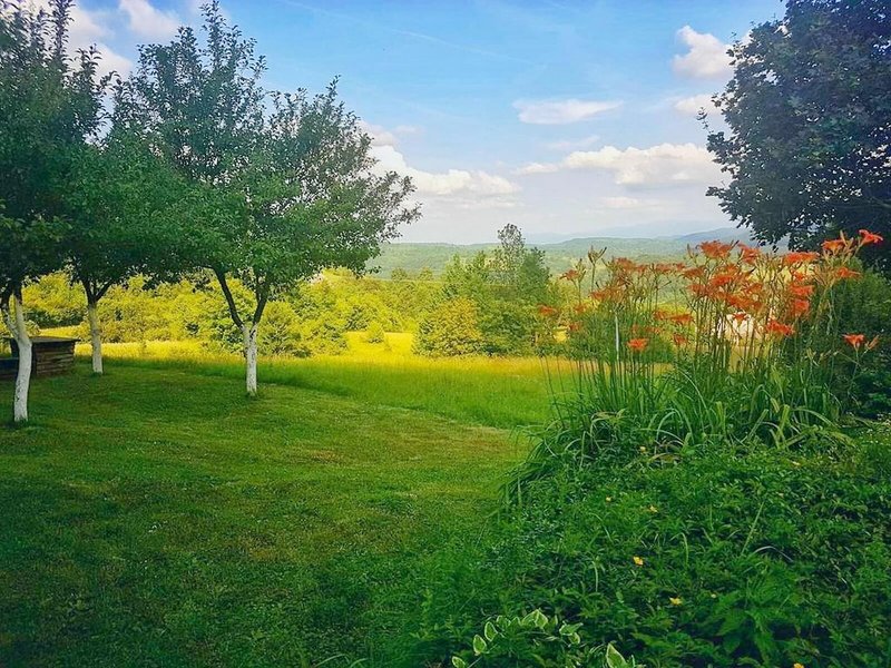 Apartments Matovina in Poljanak, Zadar (Kroatien) Außenaufnahme