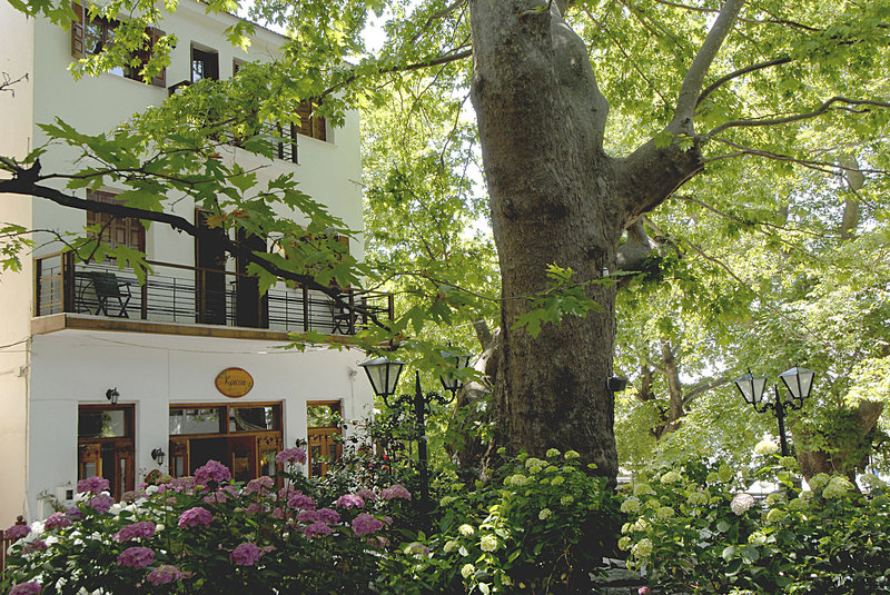 Kritsa Gastronomy Hotel in Portaria, Volos (Pilion) Außenaufnahme