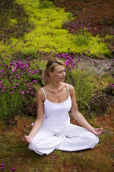 Wellness